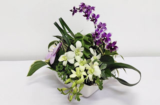 flower